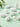Azithromycin (อะซิโทรมัยซิน) เม็ดยาปฏิชีวนะกลุ่ม Macrolide