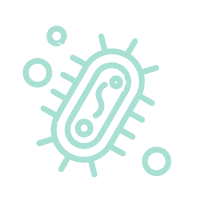 Antifungal