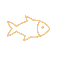 Cod Liver Oil