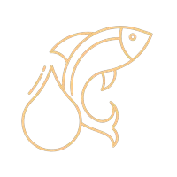 Fish Oil