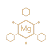 Magnesium