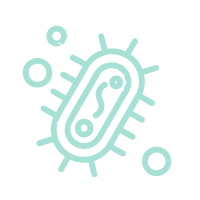 Antifungal